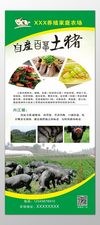 猪肉海报生鲜养殖家庭农场营养均衡口感舒适海报模板
